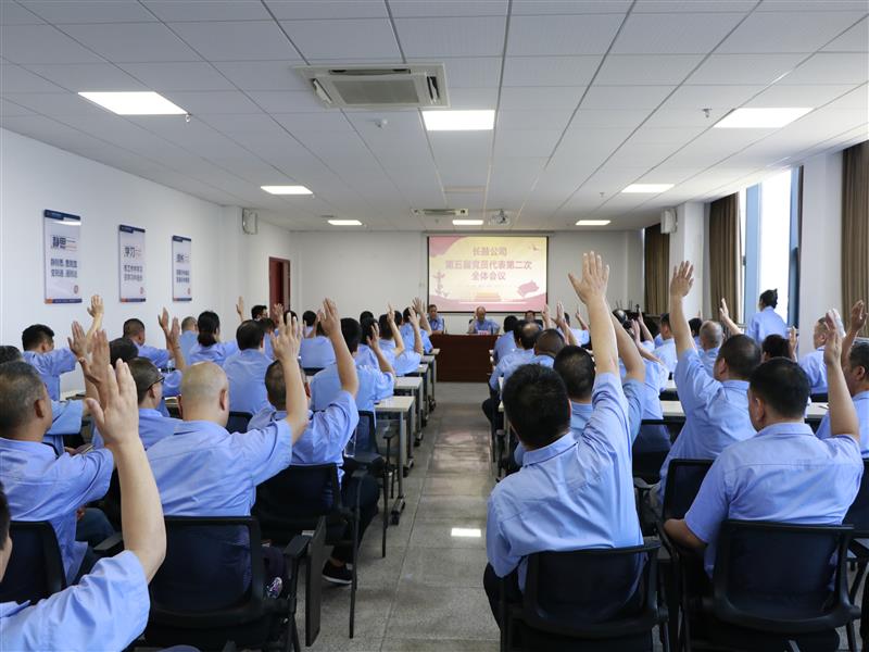 凝心聚力铸党魂，，，，，砥砺前行谱新篇